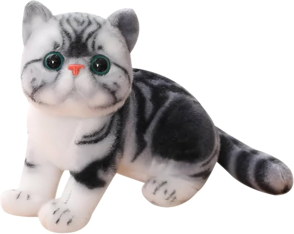 New cat 35
