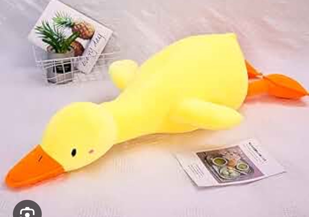 Sleeping duck 20