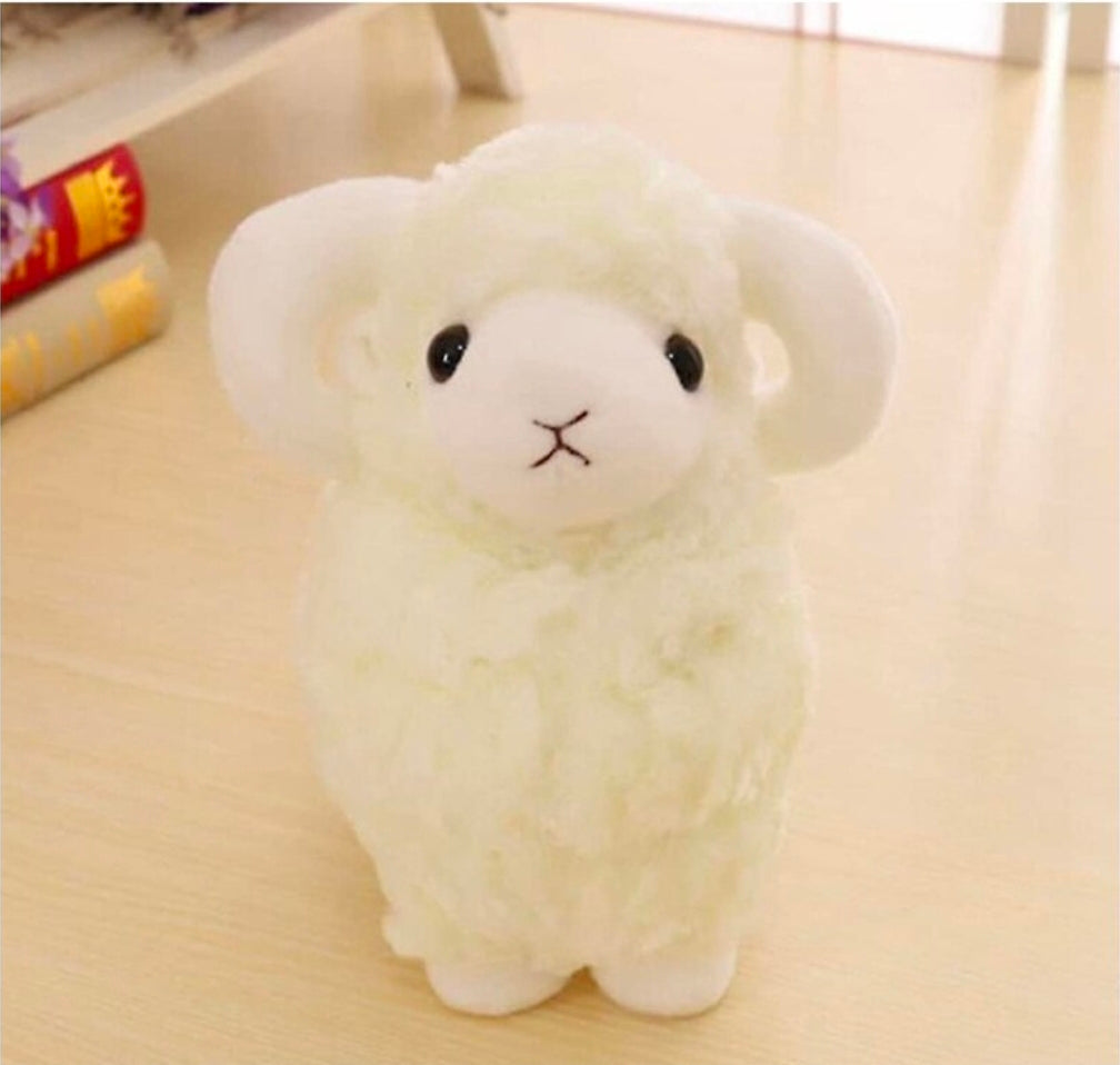 Sheep