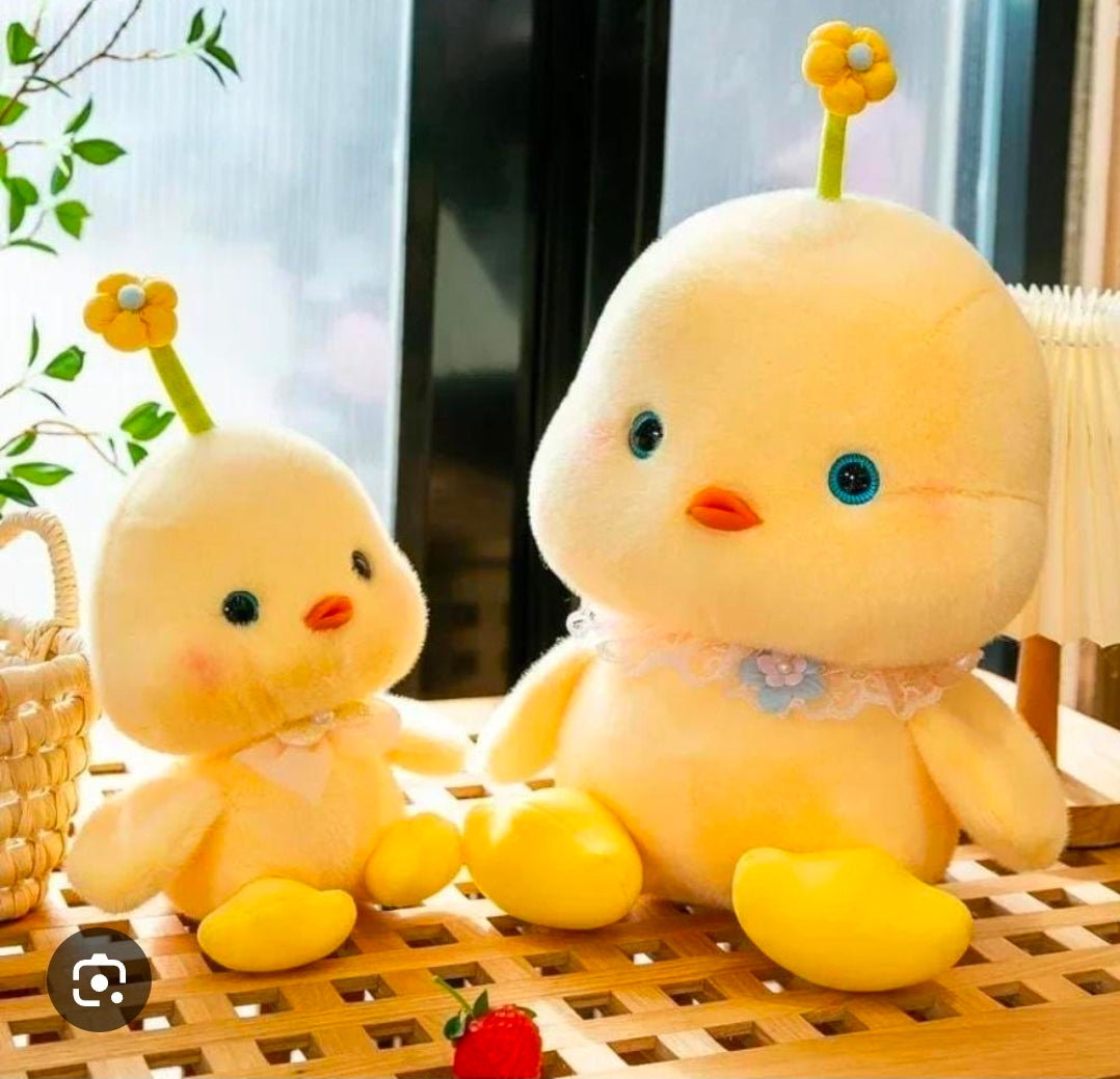 Sitting duck 25