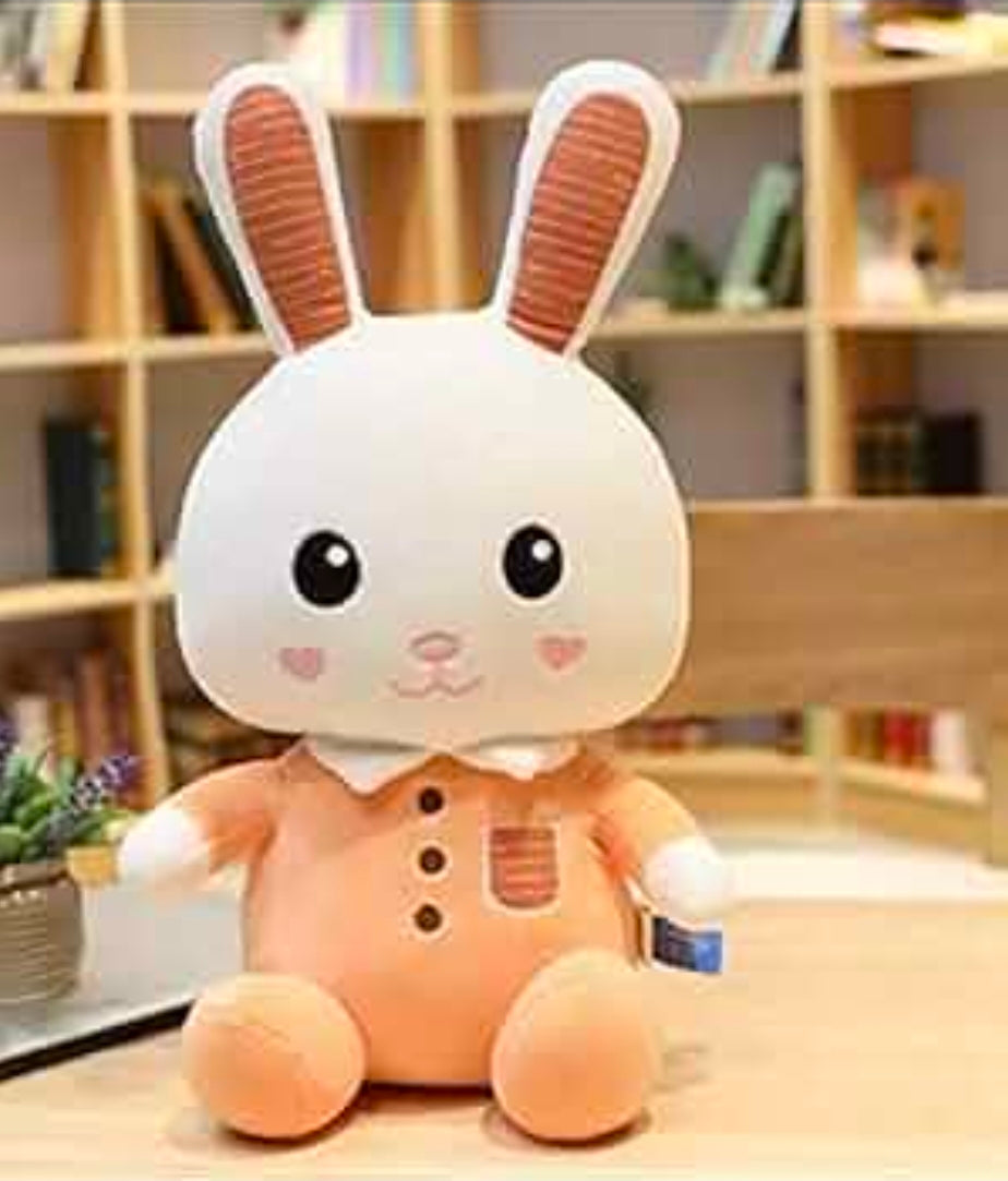 Dress rabbit 35