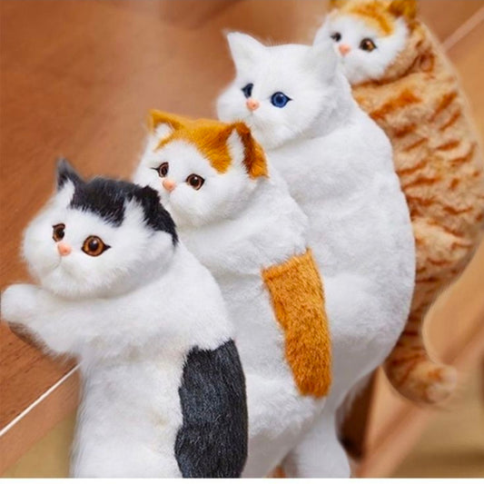 Hanging cat