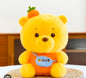 Bag phoo 35