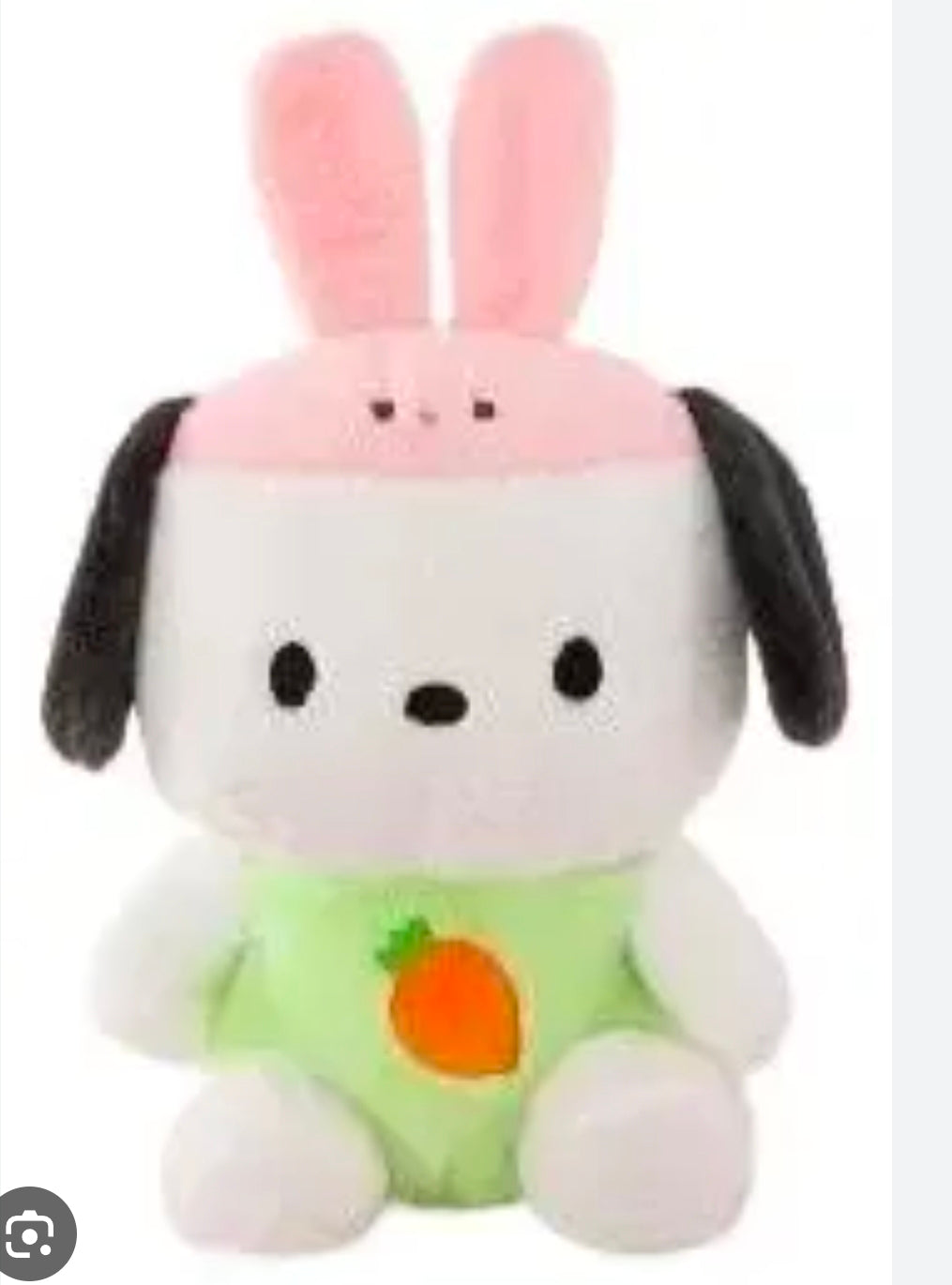 Carrot dog 45